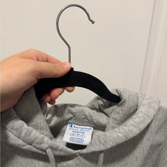Champion Reverse Weave Hooded Sweatshirt - Picture 4 of 6